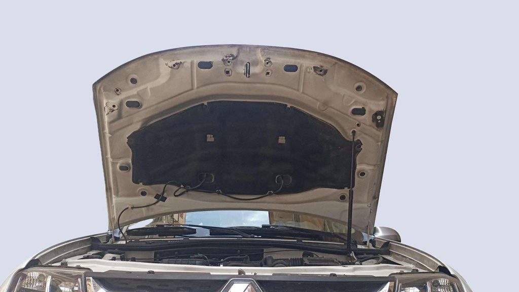 CAR HOOD