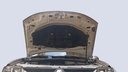 CAR HOOD