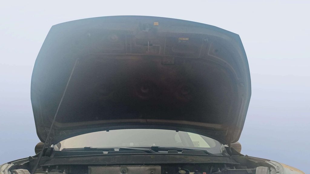 CAR HOOD