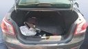 TRUNK