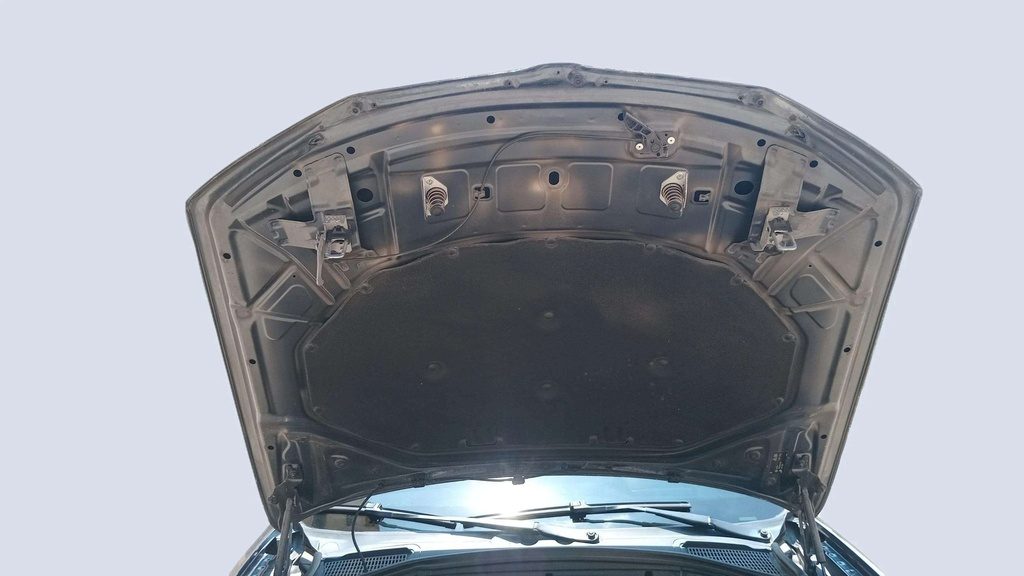 CAR HOOD