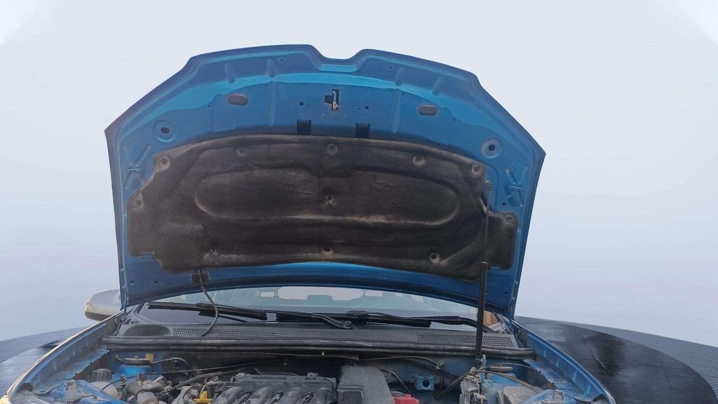 CAR HOOD