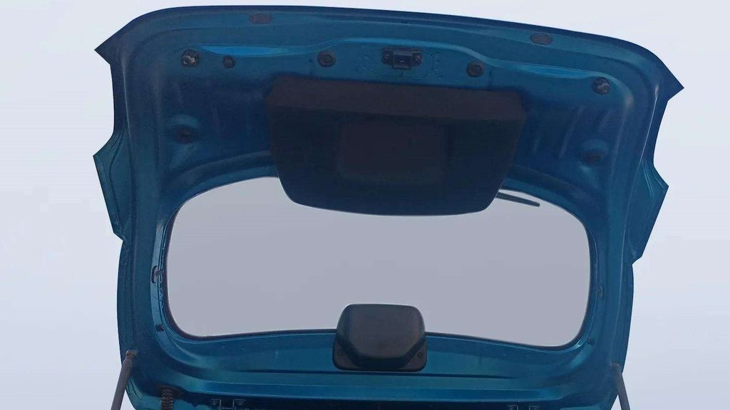 TRUNK HOOD