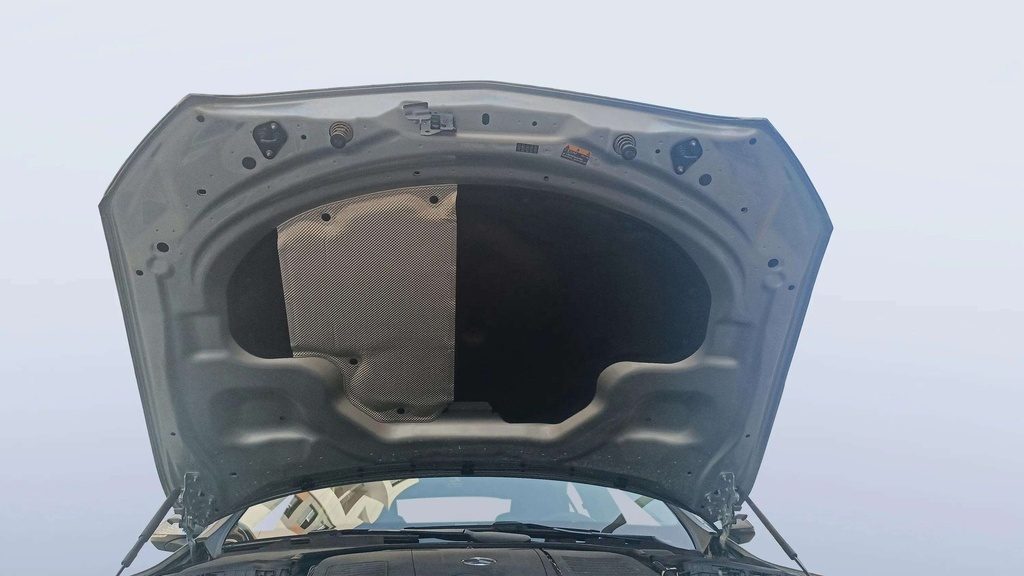 CAR HOOD
