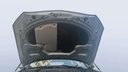 CAR HOOD