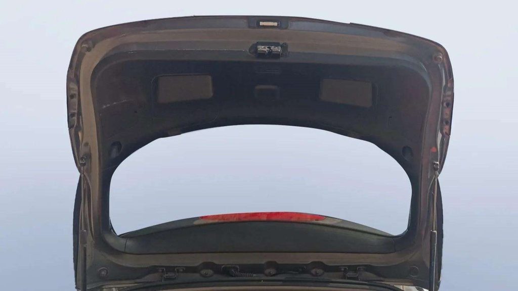 TRUNK HOOD