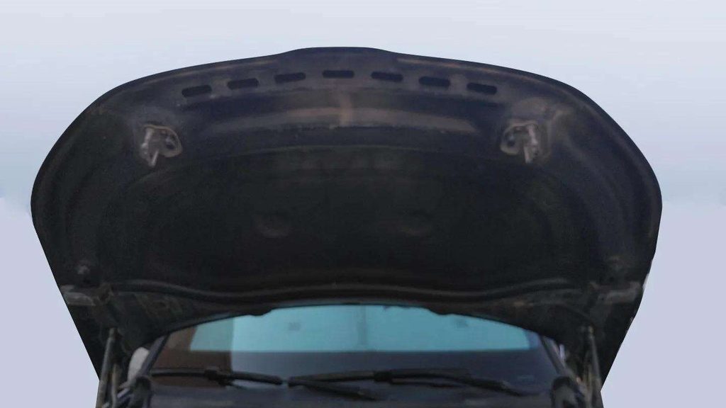 CAR HOOD