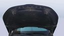 CAR HOOD