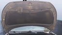 CAR HOOD
