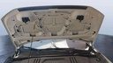 CAR HOOD
