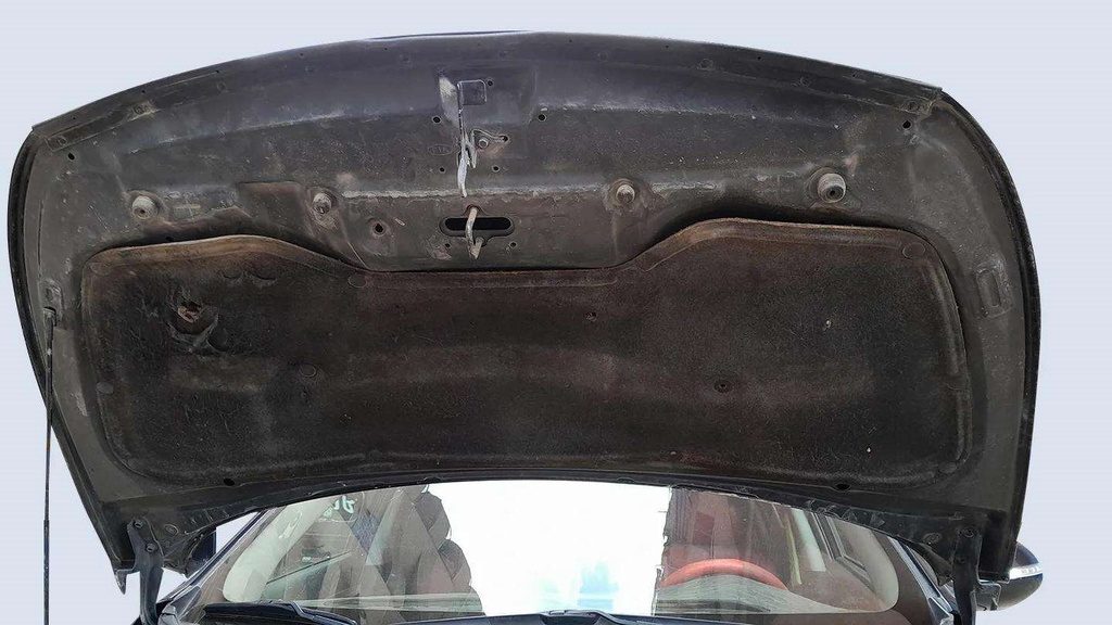 CAR HOOD