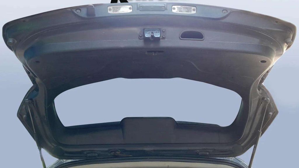 TRUNK HOOD
