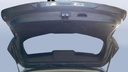 TRUNK HOOD