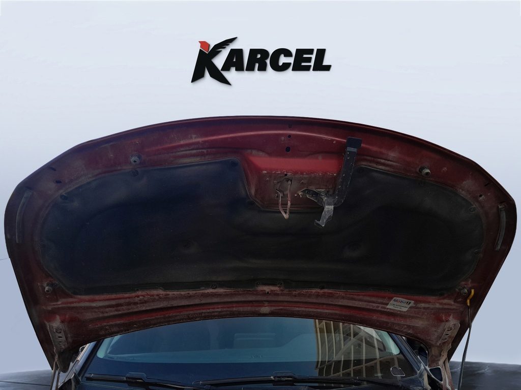 CAR HOOD