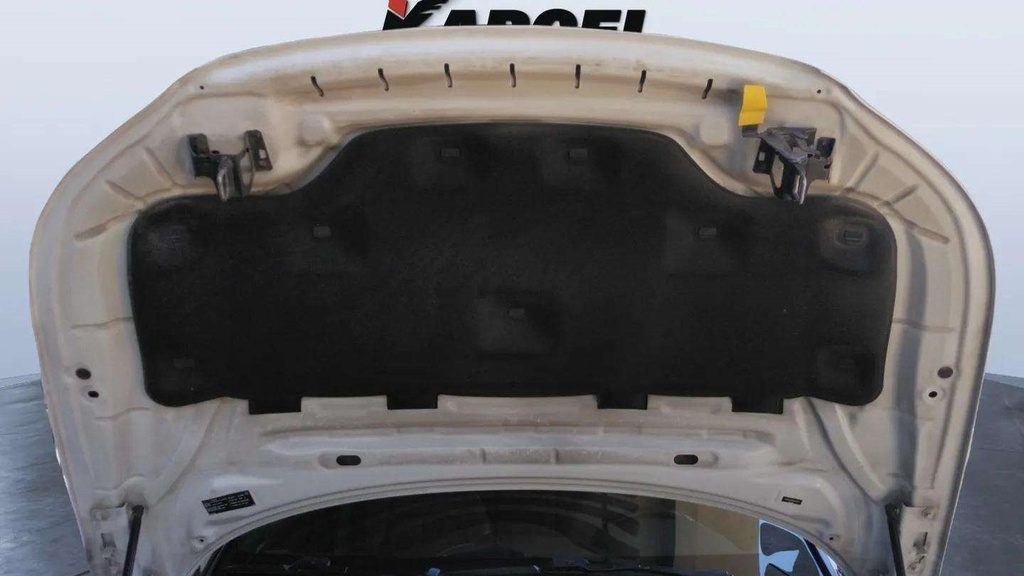 CAR HOOD