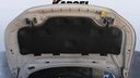 CAR HOOD