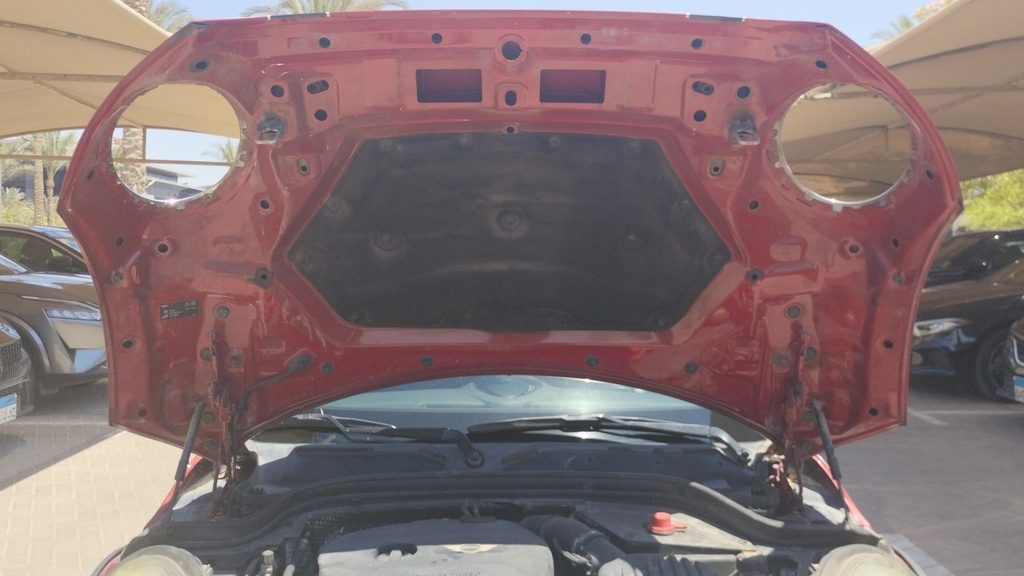 CAR HOOD
