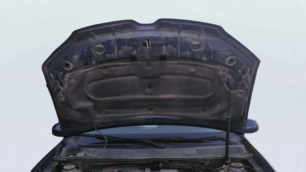 CAR HOOD
