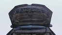 CAR HOOD