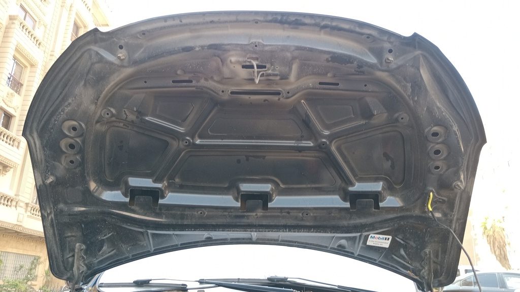 CAR HOOD