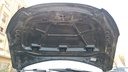 CAR HOOD