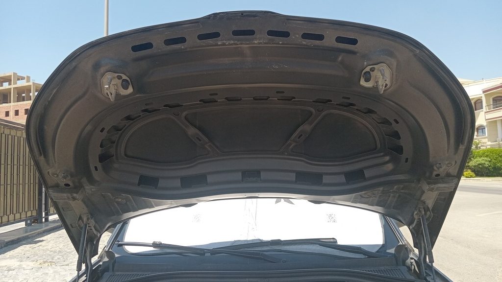 CAR HOOD