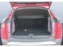 TRUNK