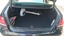 TRUNK