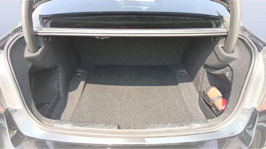 TRUNK