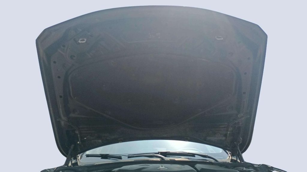 CAR HOOD