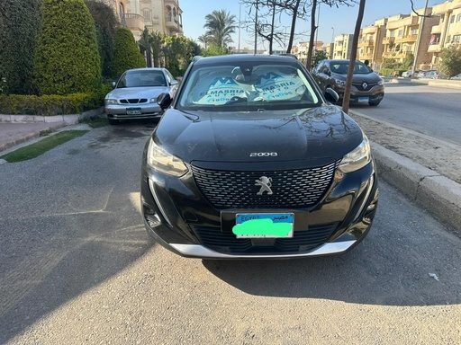 [P20137] Peugeot 2008 2021 2nd Category
